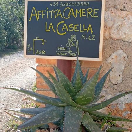 Affittacamere La Casella 蒙特里久尼 外观 照片