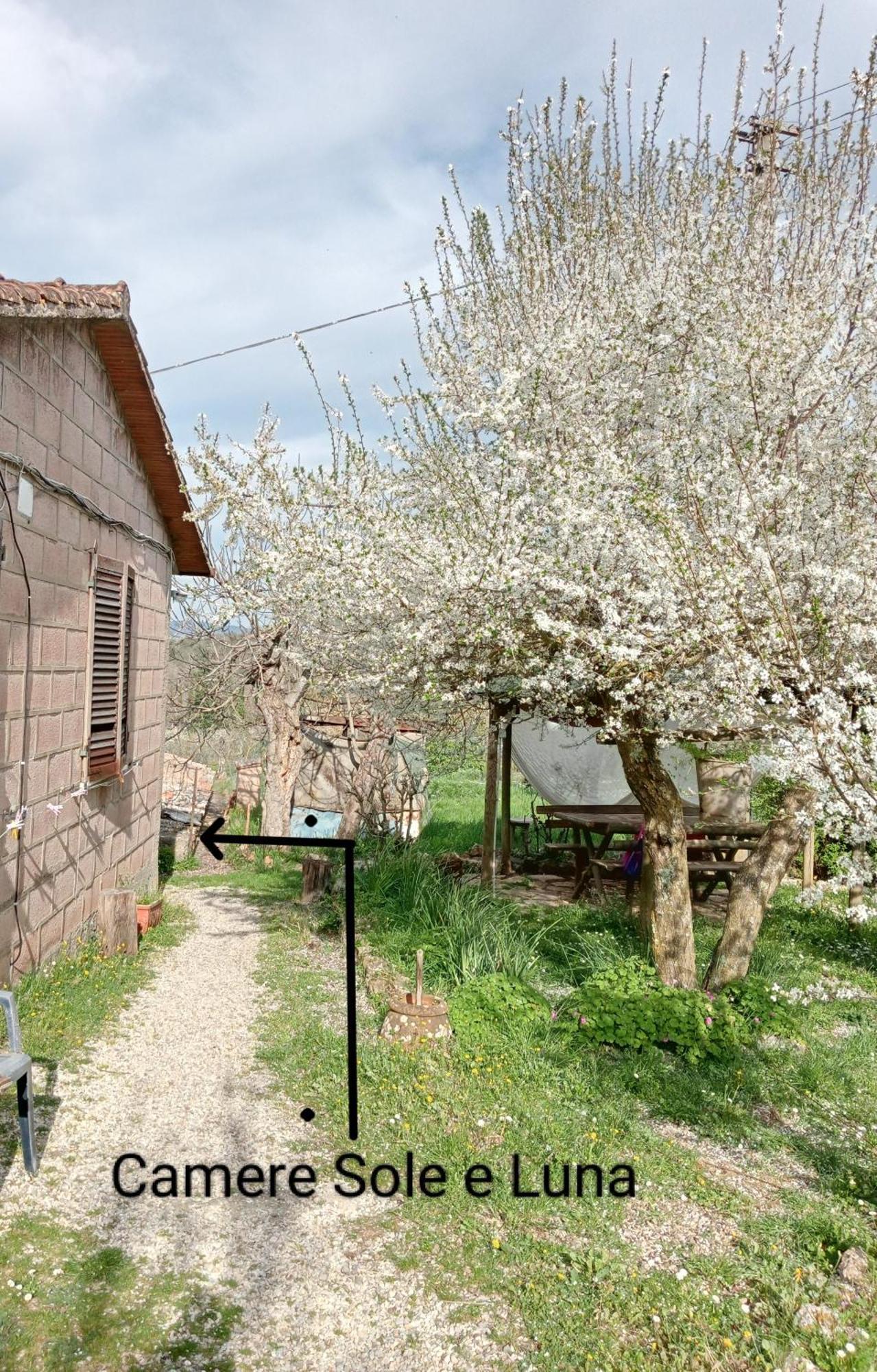 Affittacamere La Casella 蒙特里久尼 外观 照片